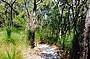 Noosa Everglades Overnight Canoe Discovery