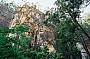 5 Day Carnarvon Gorge Outback Tour